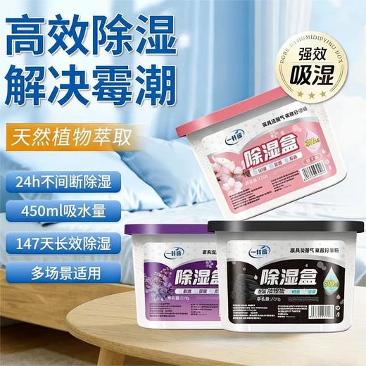 春节不打烊【天然植物萃取❗️倒置不漏避免返潮】活性炭除湿盒吸潮干燥剂室内衣柜防潮防霉包宿舍学生吸湿袋。jc 商品图0