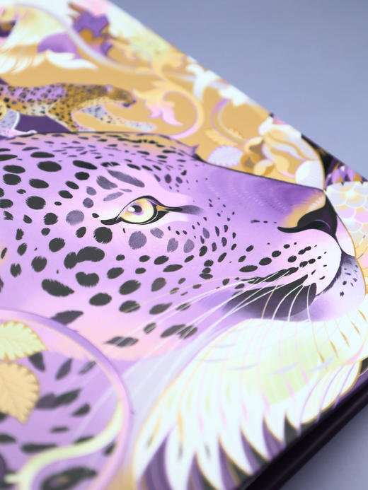 华北豹A5硬壳卡册外壳收纳 商品图3