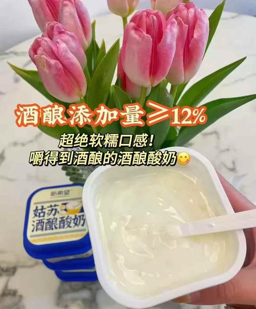 周四取货：【姑苏酒酿酸奶】保质期至2026.1.29. 商品图1