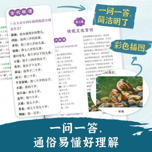 中国文化常识1000问 商品图2