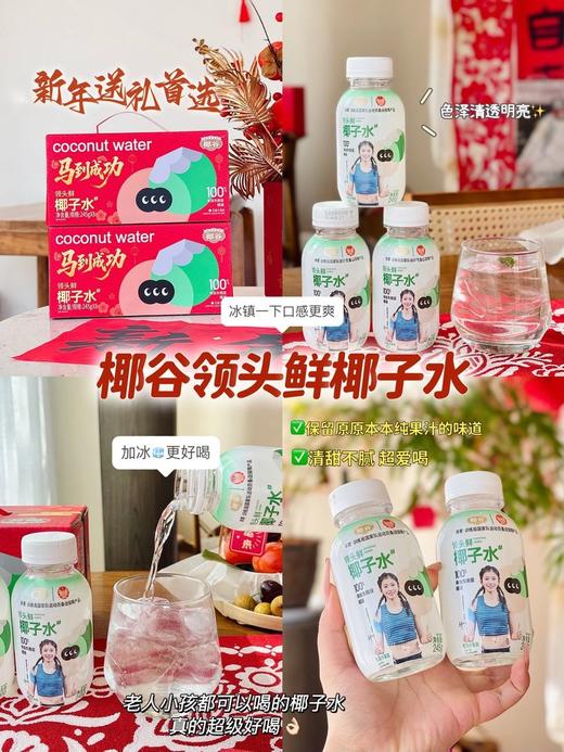 领头鲜100%椰子水礼盒版 商品图5