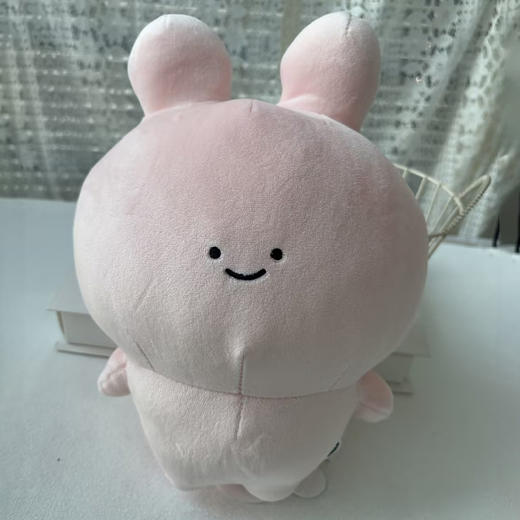 阿莎咪米站姿公仔-纪念日百货门店同款169255041 商品图0