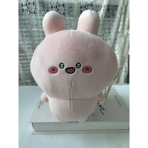 阿莎咪米亮晶晶站姿公仔-纪念日百货门店同款169254989 商品图3