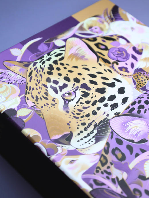 华北豹A5硬壳卡册外壳收纳 商品图2