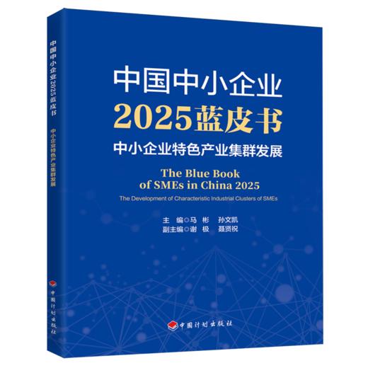 中国中小企业2025蓝皮书:中小企业特色产业集群发展 商品图0