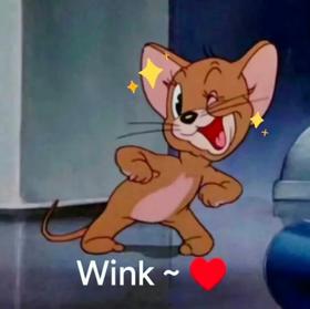 攒了一波货损｜闭着眼睛随便卖卖（满88包邮）