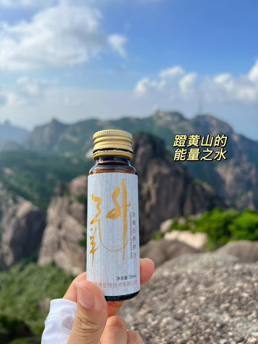 2月10日-25日停发！【10倍浓缩白桦树汁】 大自然的馈赠 生命能量汁水  补充能量  唤醒身体活力 应酬聚会解酒 多效合一 商品图9