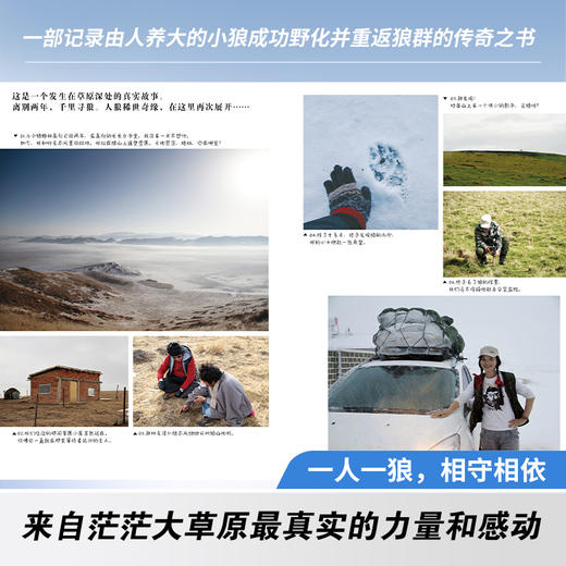 《重返狼群》 商品图1