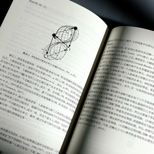 理论心理学 认知科学的视角 当代中国心理科学文库 商品图13