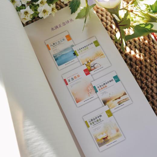 万千心理·成人注意缺陷多动障碍的正念疗法：临床工作者指南 商品图5