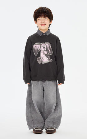 jnby  26年春款  套头卫衣  1Q2410120