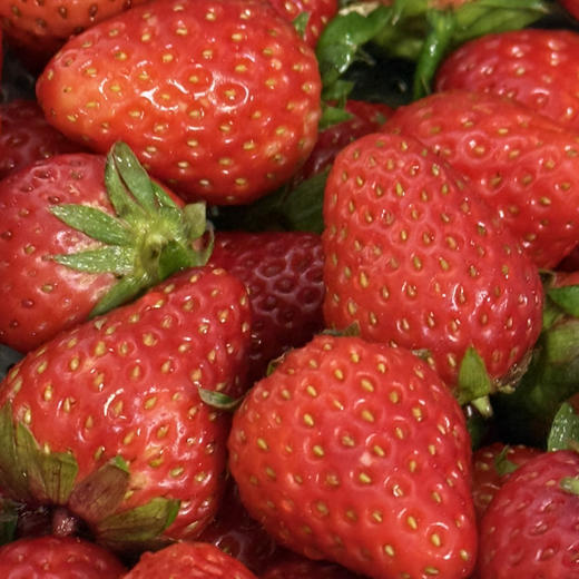 香草草莓 商品图6