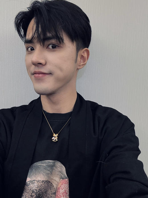 【秒杀价已调 直接拍】大H 26年 艺术家限定「福马」珐琅彩工艺合金&真铜电镀18k金锁骨链 颈链 项链 商品图2