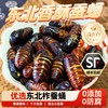 【顺丰包邮】香酥蚕蛹开袋即食38g起原味香辣味 东北特产柞蚕蛹熟食零食 商品缩略图0