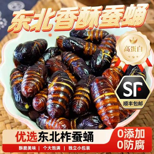 【顺丰包邮】香酥蚕蛹开袋即食38g起原味香辣味 东北特产柞蚕蛹熟食零食 商品图0