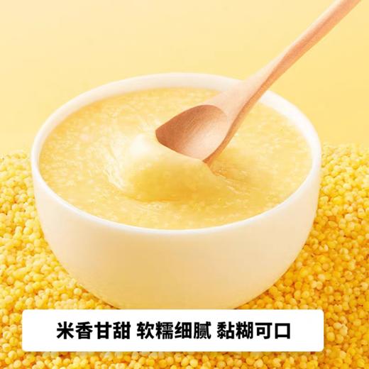 梦思香金苗小米1kg 商品图9