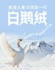 正品保真西伯利亚进口飞天95白鹅绒泡芙三防鹅绒服 商品缩略图6