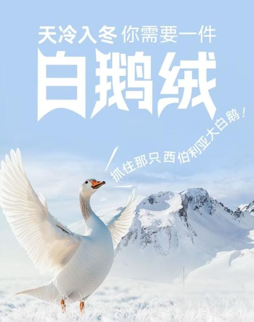 正品保真西伯利亚进口飞天95白鹅绒泡芙三防鹅绒服 商品图6