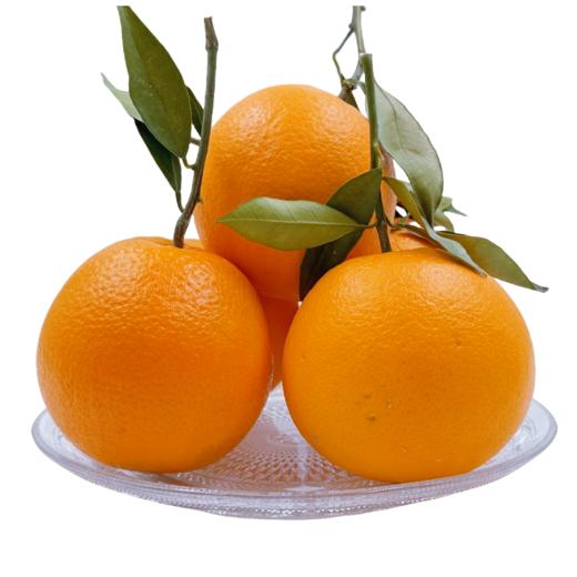 重庆奉节脐橙特产新鲜水果70-75mm 商品图1