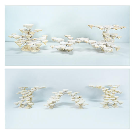 200缸块状烧制款造景 商品图1