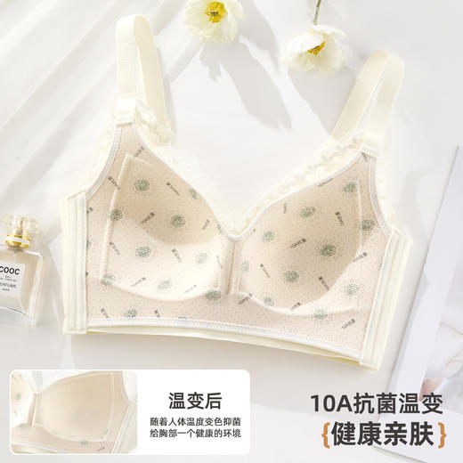 雅黛俪大胸显小显瘦女士文胸轻薄透气性感蕾丝全罩杯内衣胸罩 商品图3