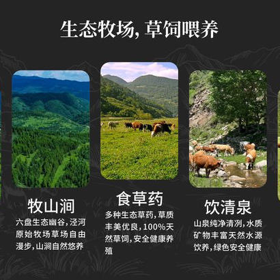 石家庄优选仓库速达，塞漠鲜宁夏黄牛+盐池滩羊，生态牧场，草饲喂养，自然散养好牛肉，净含量300g-500g/袋 商品图6