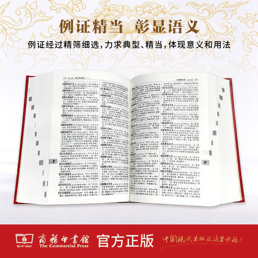 汉语成语大词典 商品图3