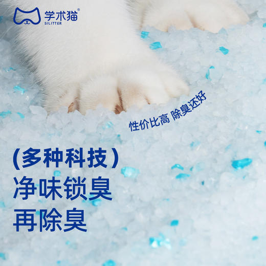 学术猫田园.无尘砂4.5L【2026新春好品】 商品图2