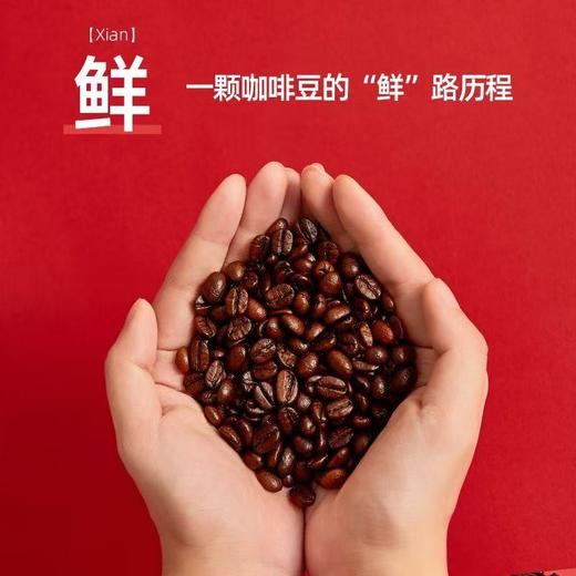 （2026年12月到期）隅田川深黑美式咖啡豆特浓精品油脂丰富美式黑咖啡豆500g 商品图2