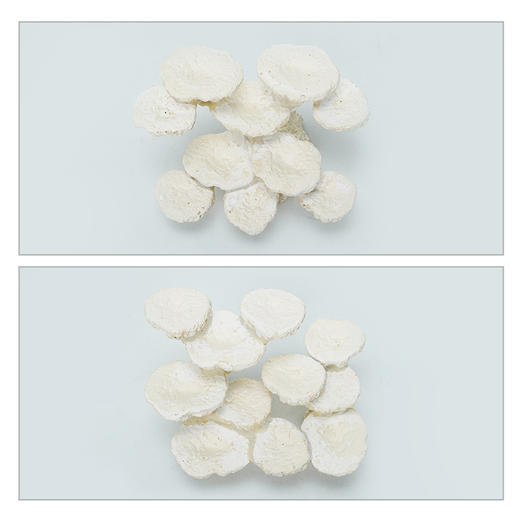 50缸块状烧制款造景 商品图4