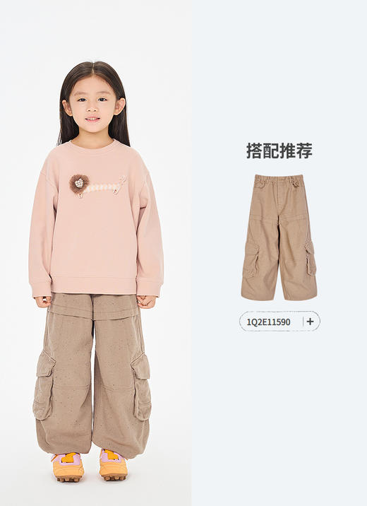 jnby  26年春款  套头卫衣  1Q2411750 商品图7