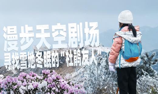 【2026.01-02】鸬鸟山亲子登山徒步：漫步天空剧场，寻找雪地冬眠的“杜鹃友人” 商品图0