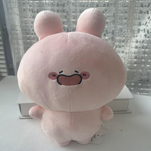 阿莎咪米微笑站姿公仔-纪念日百货门店同款169255017 商品图3