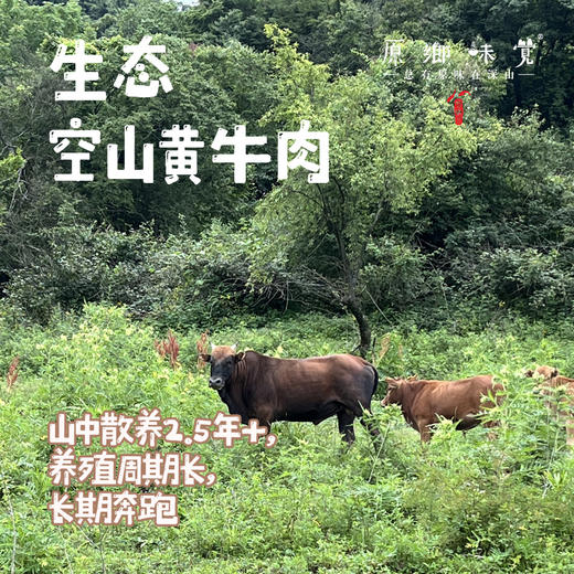 【3斤起发，满268元包邮】生态空山黄牛肉（成都仓库-顺丰陆运 ）| 多种部位，来自四川通江空山国家森林公园，养殖者：岳斌【原乡直采】 商品图0