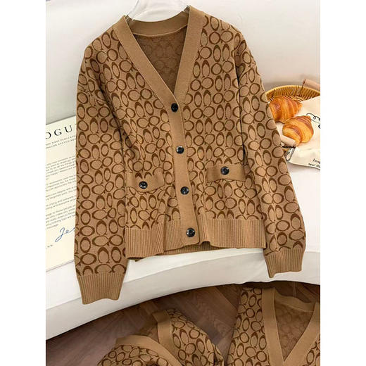 「高货rp」全新升级【铂金会员330/天猫439/差价109】(11732)洛诗琳气质提花针织开衫2026春季新款静奢老钱风V领针织羊毛外套 商品图3