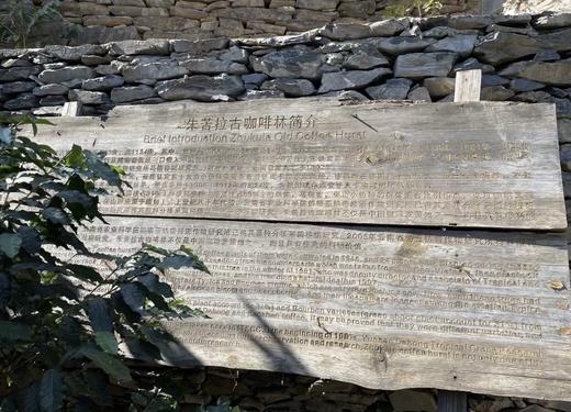 启咖缘1904礼 盒 （豆+磨豆机） 商品图11