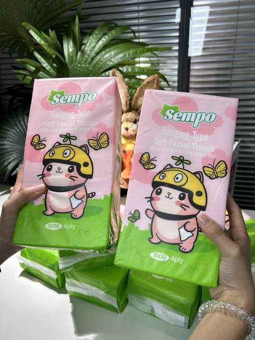 直发 出口泰国的订单清仓 【森宝悬挂式抽纸】到手8大提 商品图0