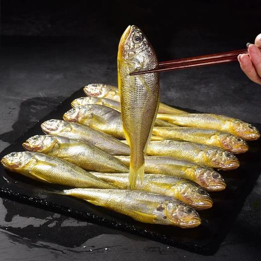 舟山“四大金刚”海鲜大礼包（雷达网带鱼6-8两/条 *3条+小黄鱼8条左右/斤*2斤+银鲳鱼5条左右/斤*1斤+舟山野生手剥白虾仁200g/盒*1盒）原产地直发！ 商品图5