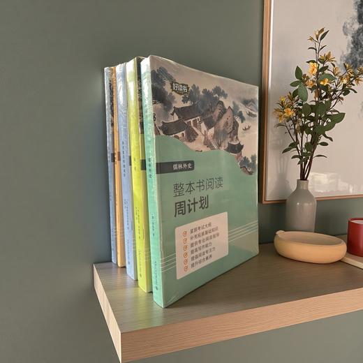 中国经典文学著作世界经典文学著作简爱儒林外史钢铁是怎样炼成的骆驼祥子经典常谈初中生寒暑假推荐阅读 商品图0