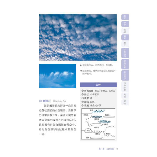 《云朵观察指南》 商品图10
