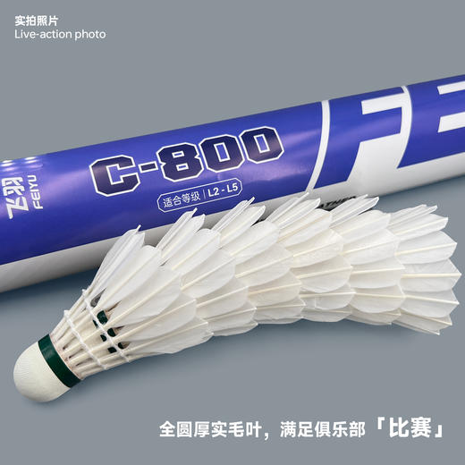 飞羽 羽毛球 训练级 优质鸭毛 紫羽-C800 商品图5