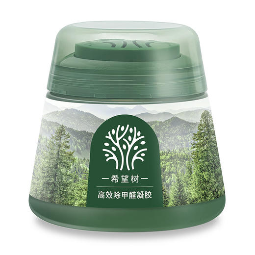 full of hope希望树甲醛凝胶（升级版）200g 商品图0