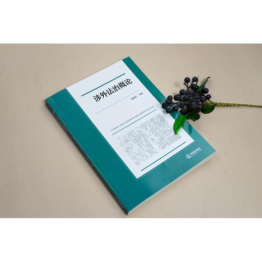 涉外法治概论 张晓君主编 法律出版社 商品图2