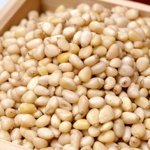 年后发货【无需手剥】【 精品松子仁 松仁 松子】三年一熟 三斤带壳松子只能剥出一斤松仁 质地酥嫩 口感清雅鲜香   松香浓郁 健康又美味 商品图1