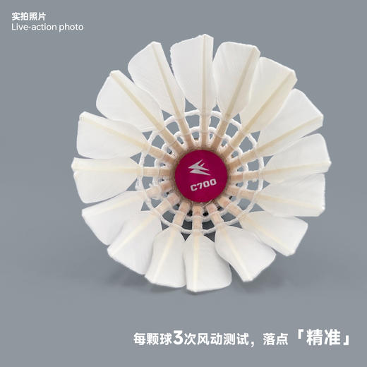 飞羽 羽毛球 训练级 优质鸭毛 粉羽-C700 商品图4