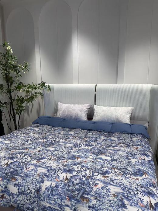 ⁴ 再也不怕冷【鹅绒子母被】两床一套 可机轻柔洗 又轻又暖让老人孩子在冬天睡个好觉 BX2272-YC04-QH 商品图7