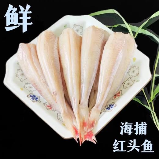 年货高端海鲜礼盒 新鲜捕捞海鲜组合 顺丰冷链包邮到家 商品图2