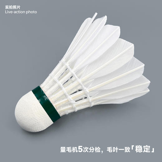 飞羽 羽毛球 训练级 优质鸭毛 绿羽-C300 商品图2