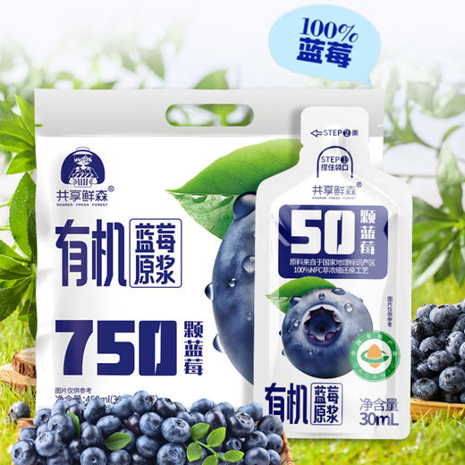 【特惠 8.3折】有机蓝莓原浆 450ml/袋【30ml*15】 商品图5