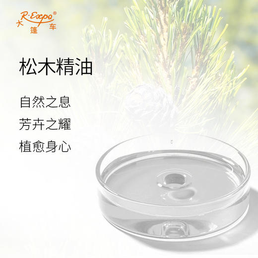 松木精油Pinus Sylvestris奥地利直采单方精油原料批发大篷车精油 商品图1